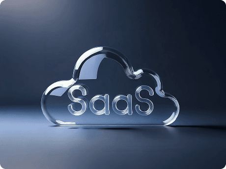SaaS Provider (Middle East Region) Case Study